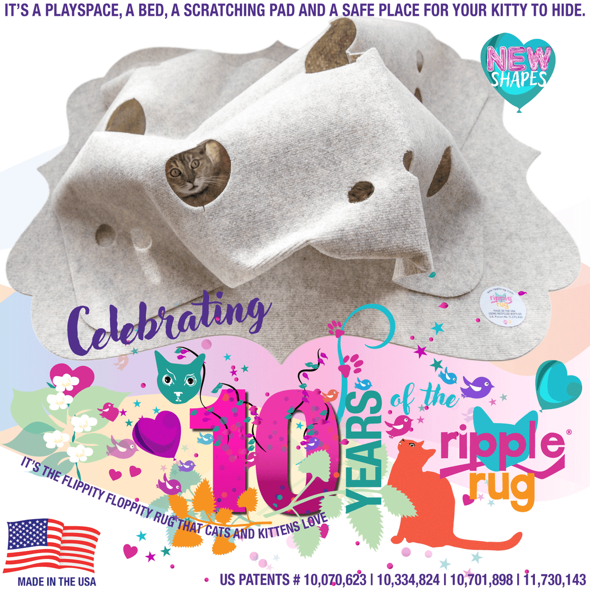 Rippled Rug Ripple Rug - Cat Toys – THE RIPPLE RUG