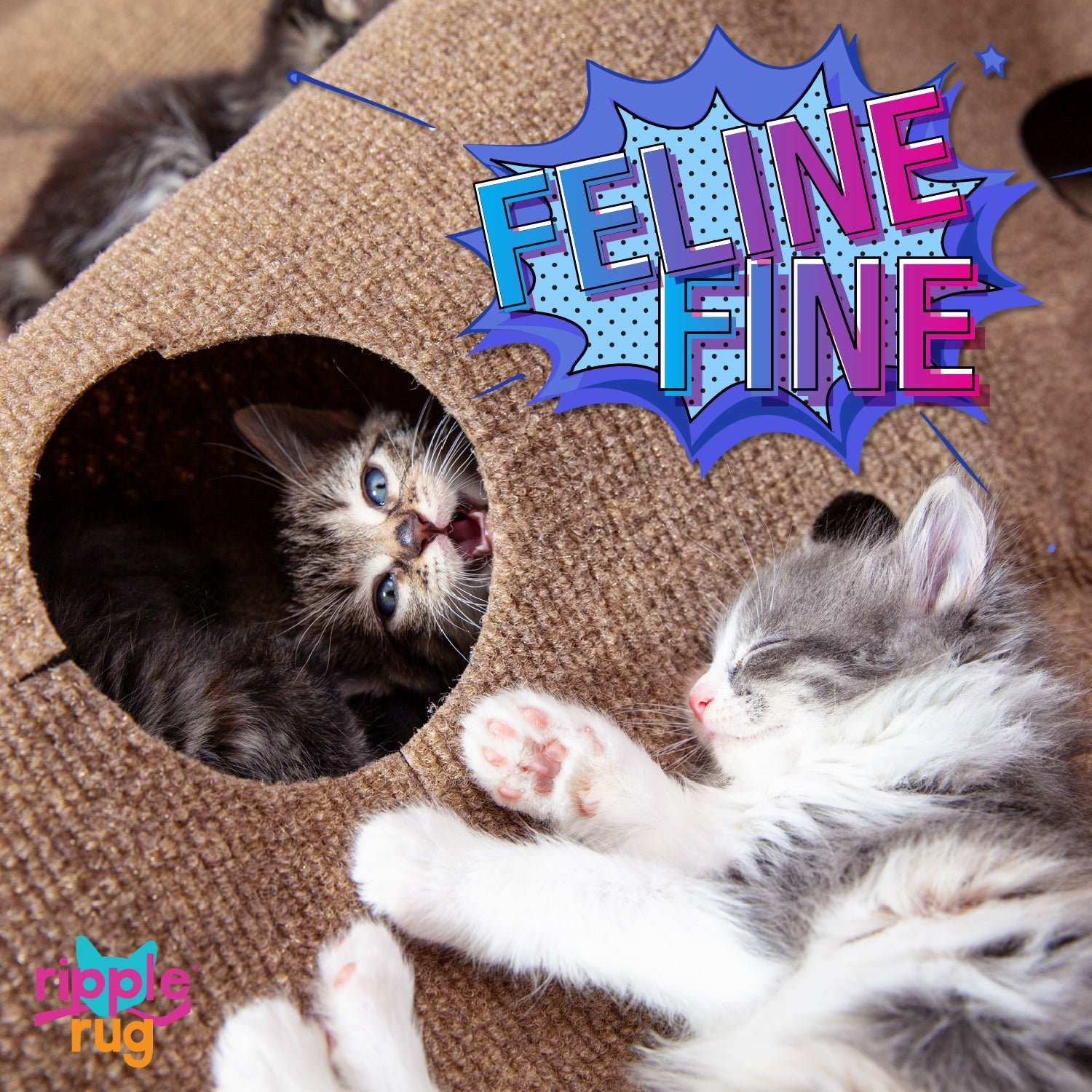 SnugglyCat's Product Page – THE RIPPLE RUG