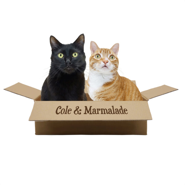 THE RIPPLE RUG Cole and Marmalade Offer